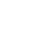 Big-turtle